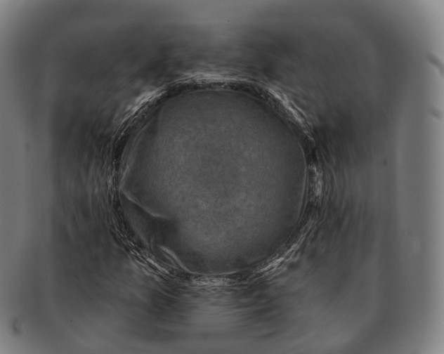 X0000091001157200708301328