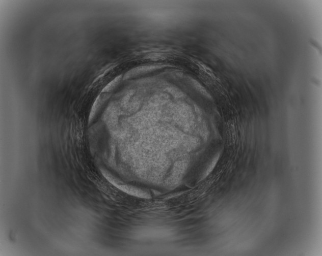 X0000091001158200708301328