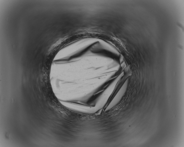 X0000091001159200708301328