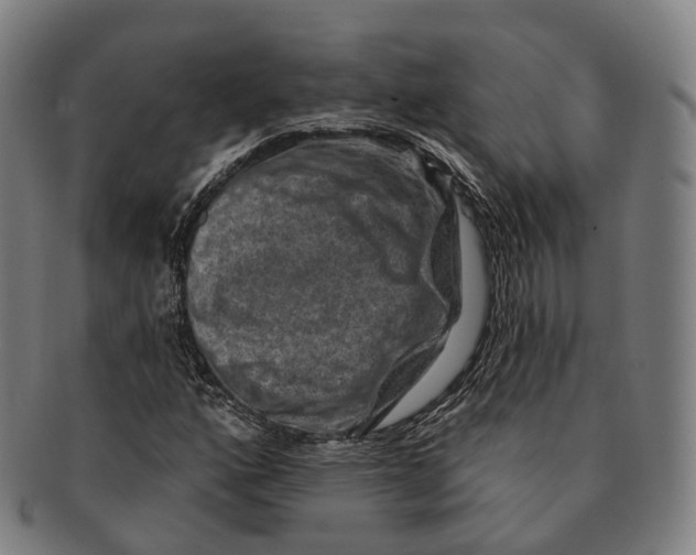 X0000091001160200708301328