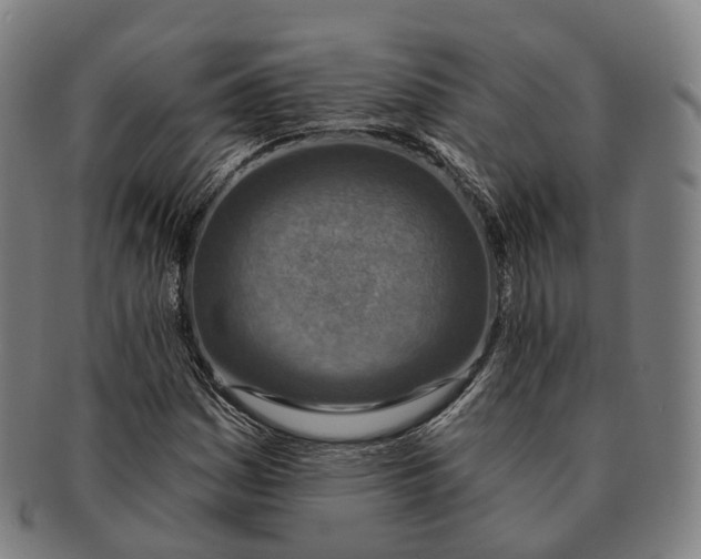 X0000091001161200708301328