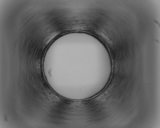 X0000091001162200708301328