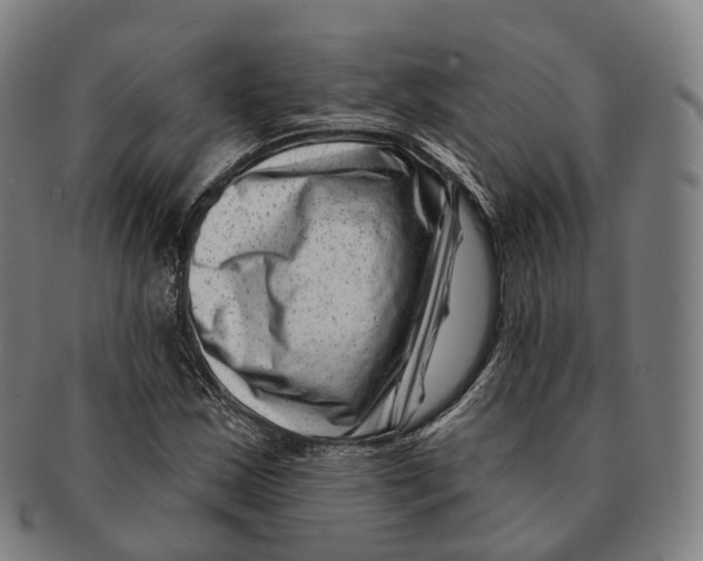 X0000091001163200708301328