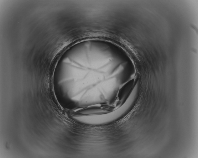 X0000091001165200708301328