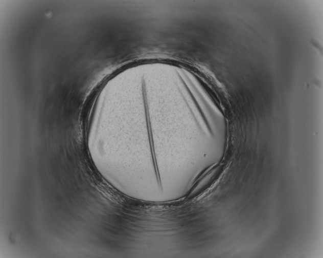 X0000091001167200708301328