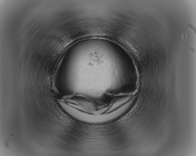 X0000091001169200708301328