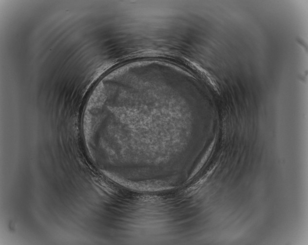 X0000091001170200708301328