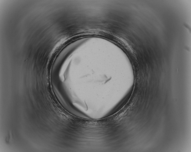 X0000091001172200708301328