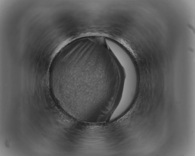 X0000091001173200708301328