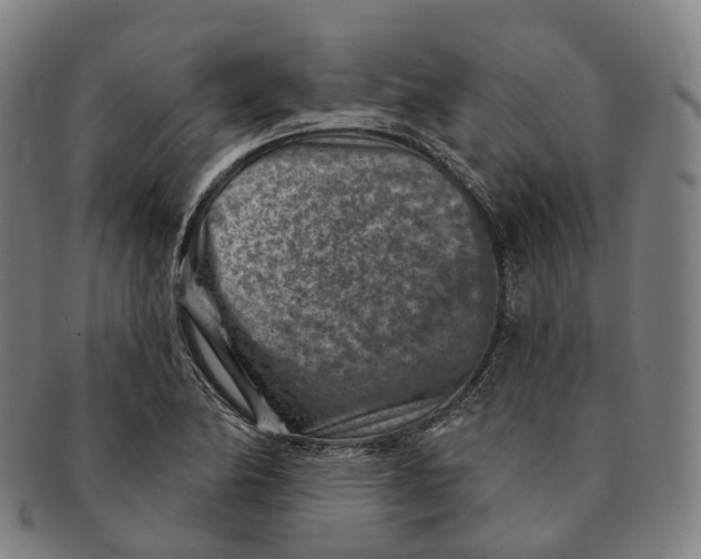 X0000091001174200708301328