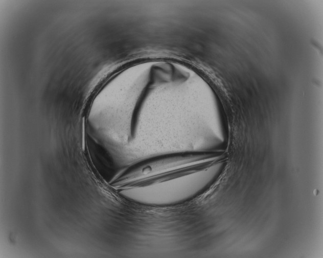 X0000091001175200708301328