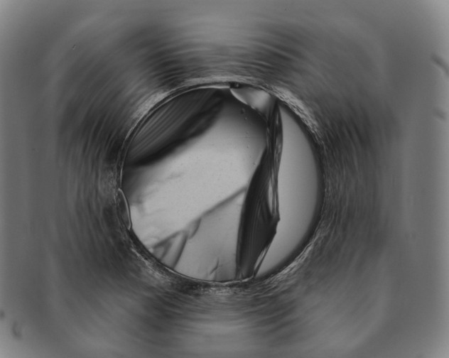 X0000091001177200708301328