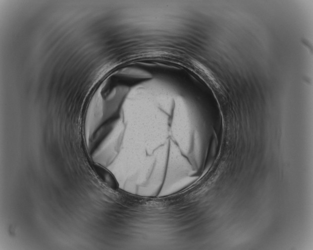 X0000091001178200708301328