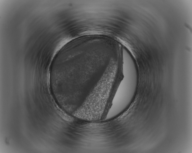 X0000091001179200708301328