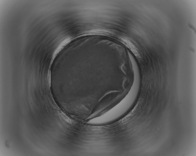 X0000091001180200708301328