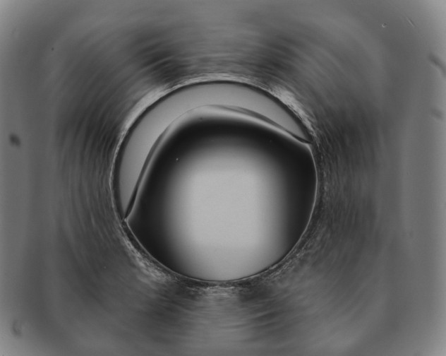 X0000091001181200708301328