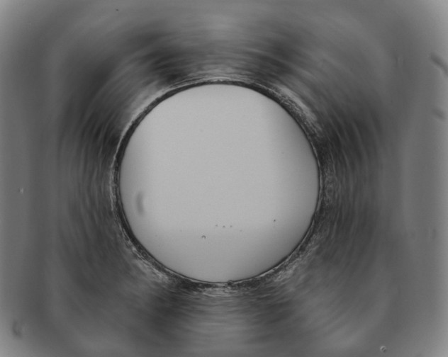 X0000091001182200708301328