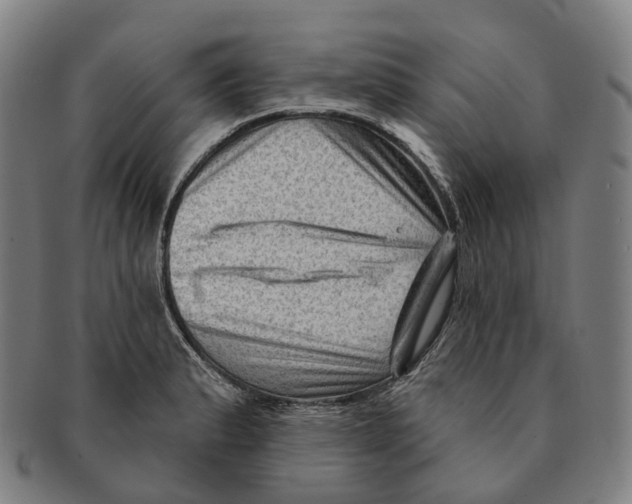 X0000091001183200708301328