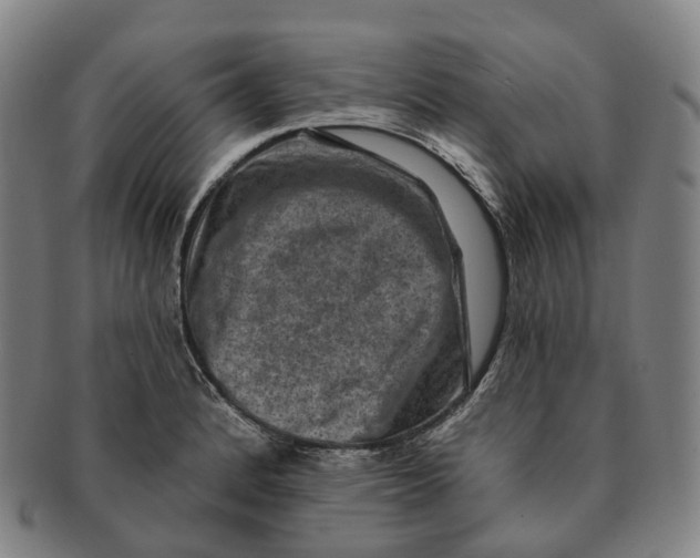 X0000091001184200708301328