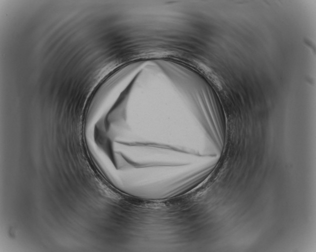 X0000091001186200708301328