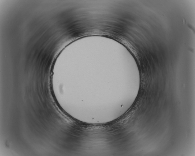 X0000091001187200708301328