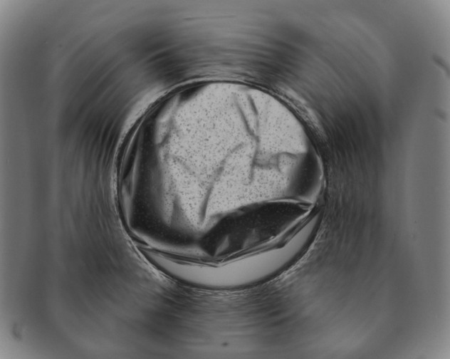 X0000091001188200708301328