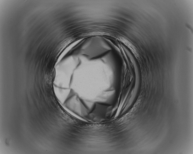 X0000091001193200708301328