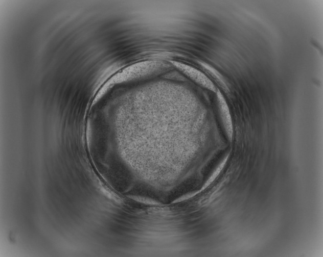 X0000091001194200708301328