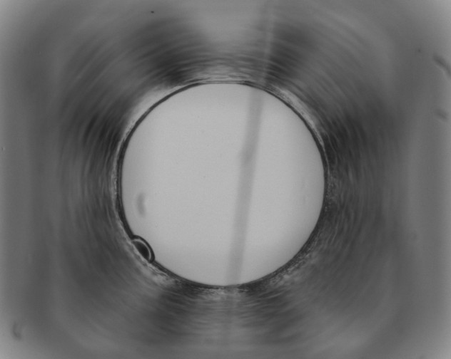 X0000091001195200708301328