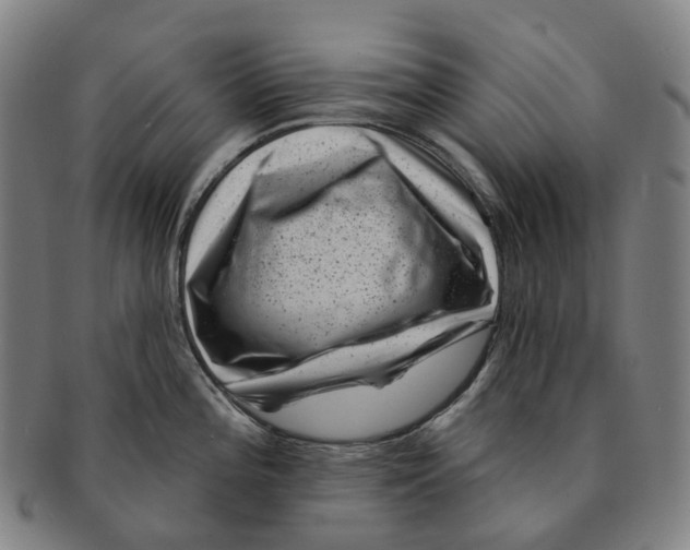 X0000091001196200708301328
