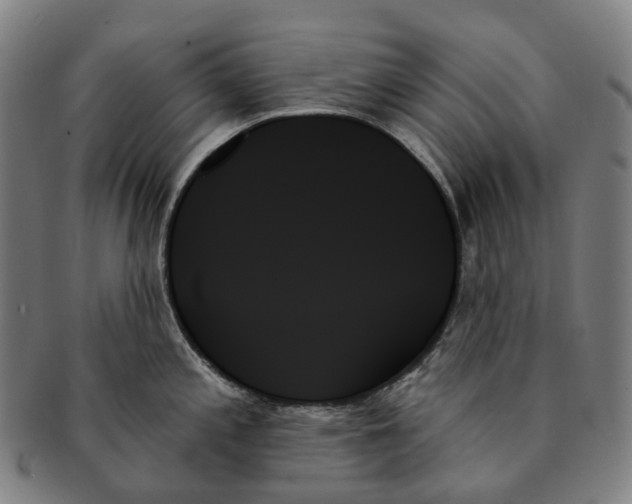 X0000091001197200708301328