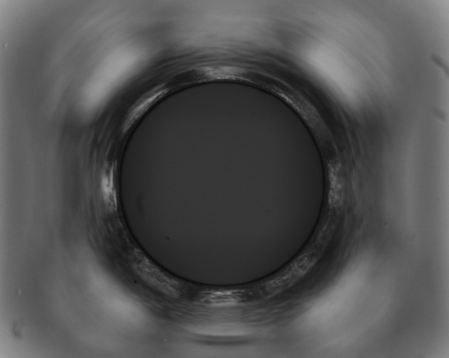 X0000091001198200708301328