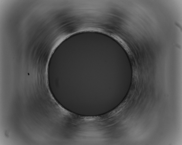 X0000091001199200708301328