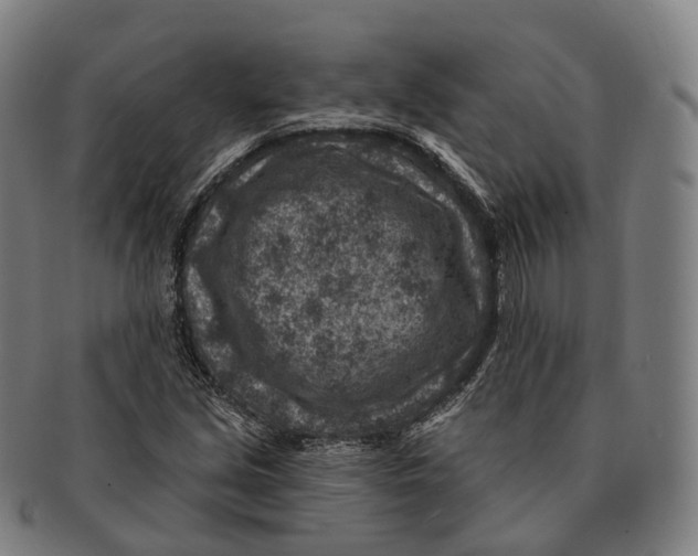 X0000091001213200708301327