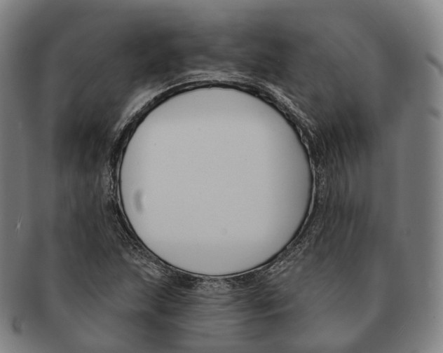 X0000091001215200708301327