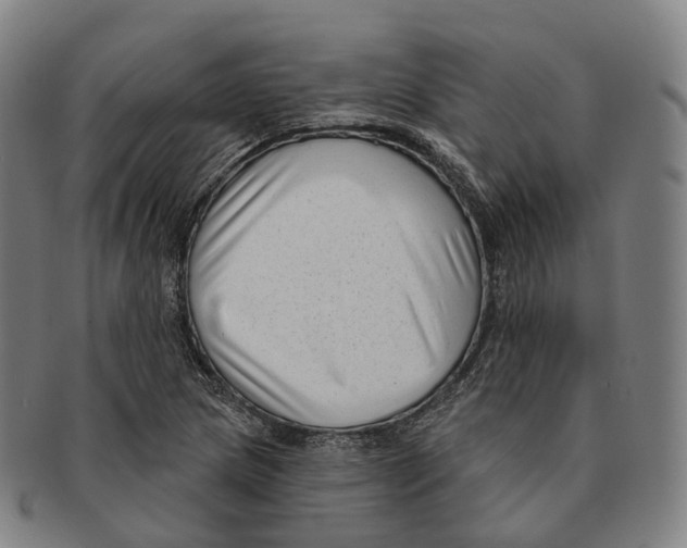 X0000091001217200708301327