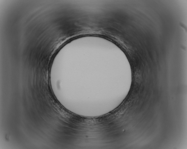 X0000091001220200708301327