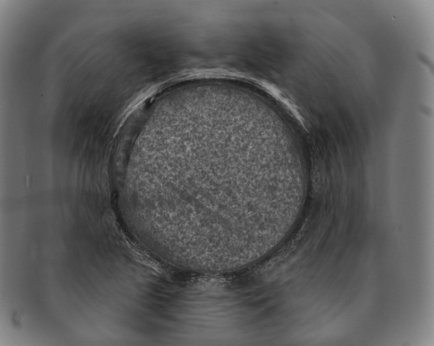 X0000091001221200708301327