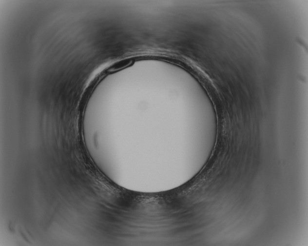 X0000091001222200708301327