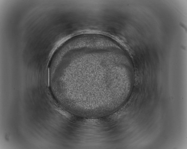 X0000091001223200708301327