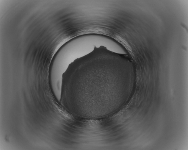 X0000091001226200708301327
