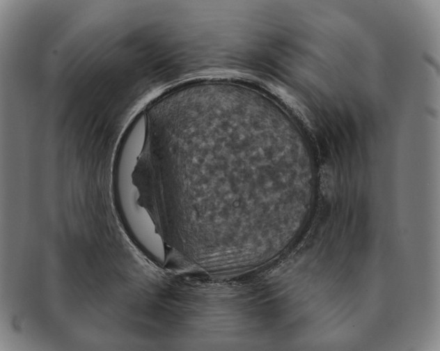 X0000091001229200708301327