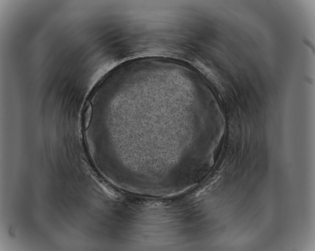 X0000091001230200708301327
