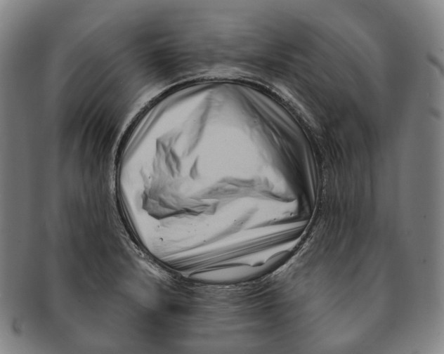 X0000091001232200708301327