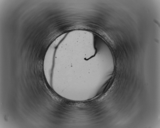 X0000091001233200708301327