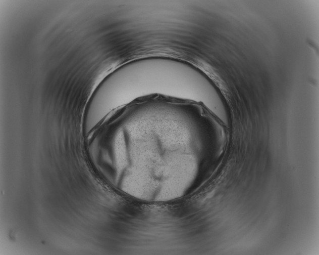 X0000091001234200708301327