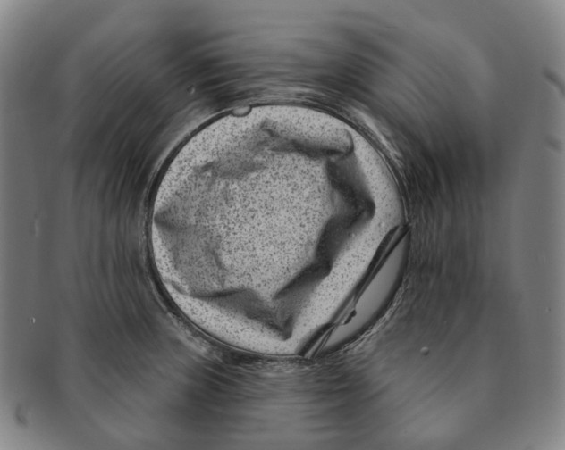 X0000091001235200708301327