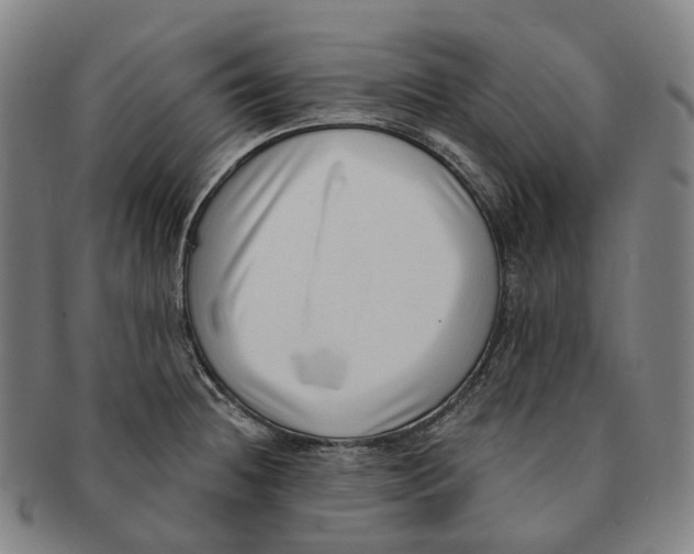 X0000091001236200708301327