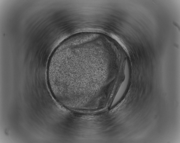 X0000091001237200708301327