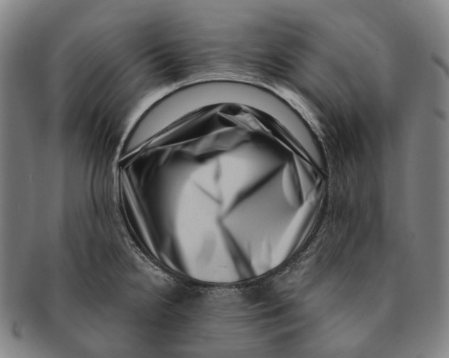 X0000091001238200708301327